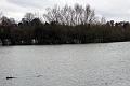 3. Flood